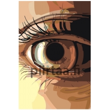 Maalaa numeroilla PA204