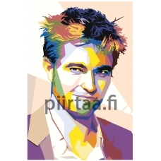 Maalaa numeroilla PA227