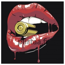 Maalaa numeroilla PA41