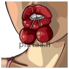 Maalaa numeroilla PA47