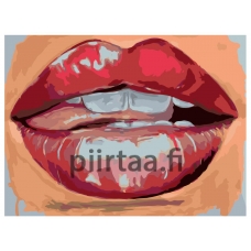 Maalaa numeroilla PA51