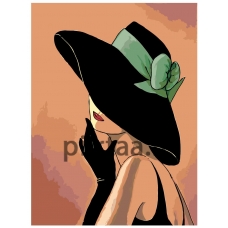 Maalaa numeroilla PA54