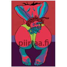 Maalaa numeroilla PA67