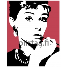 Maalaa numeroilla PA91