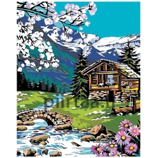 Maalaa numeroilla PP10