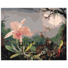 Maalaa numeroilla RA004