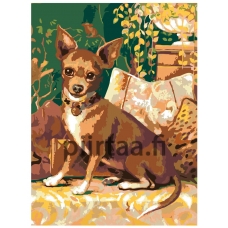 Maalaa numeroilla RA006