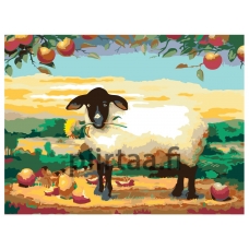 Maalaa numeroilla RA007