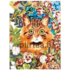 Maalaa numeroilla RA009