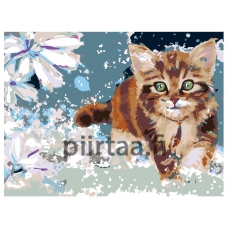 Maalaa numeroilla RA014