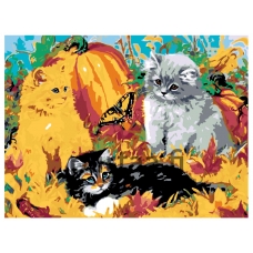 Maalaa numeroilla RA016