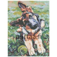 Maalaa numeroilla RA018