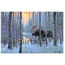 Maalaa numeroilla RA033