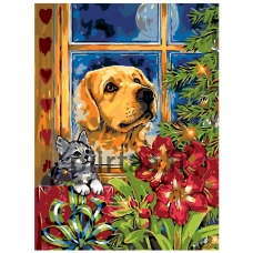 Maalaa numeroilla RA043