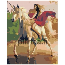 Maalaa numeroilla RA045