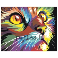 Maalaa numeroilla RA046