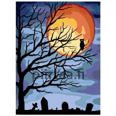 Maalaa numeroilla RA096