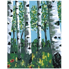 Maalaa numeroilla RA112