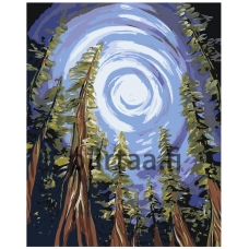 Maalaa numeroilla RA117