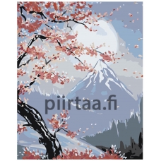 Maalaa numeroilla RA128