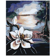 Maalaa numeroilla RA135