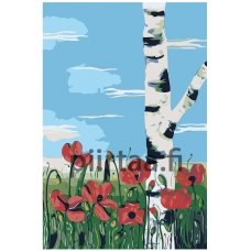 Maalaa numeroilla RA136