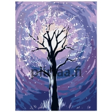 Maalaa numeroilla RA141