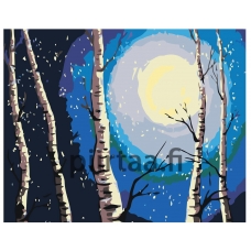 Maalaa numeroilla RA146