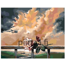 Maalaa numeroilla RA154