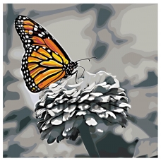 Maalaa numeroilla RA155