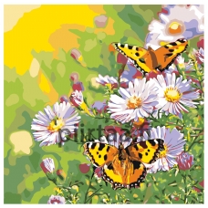 Maalaa numeroilla RA156