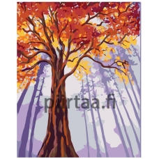 Maalaa numeroilla RA186