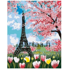 Maalaa numeroilla RA193