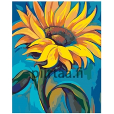 Maalaa numeroilla RA211