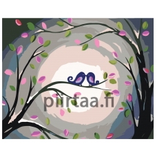 Maalaa numeroilla RA213