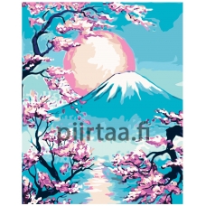 Maalaa numeroilla RA223