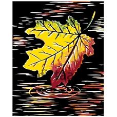 Maalaa numeroilla RA224