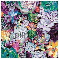 Maalaa numeroilla RA241