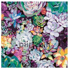 Maalaa numeroilla RA241