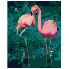 Maalaa numeroilla RA243