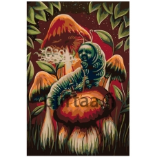 Maalaa numeroilla RA252