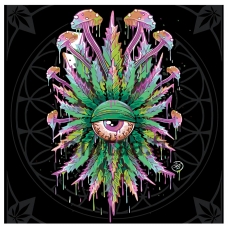 Maalaa numeroilla RA254