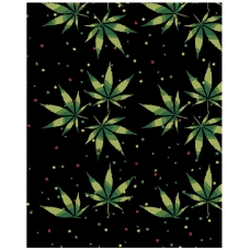 Maalaa numeroilla RA261