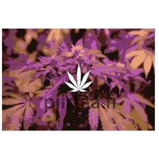 Maalaa numeroilla RA263