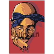 Maalaa numeroilla RA318