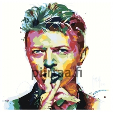 Maalaa numeroilla RA358