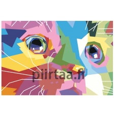 Maalaa numeroilla RA362