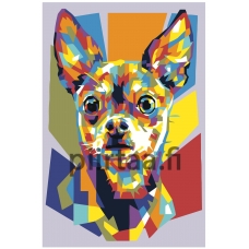 Maalaa numeroilla RA363