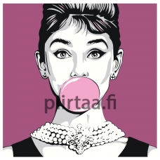 Maalaa numeroilla RA371