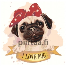 Maalaa numeroilla RA374